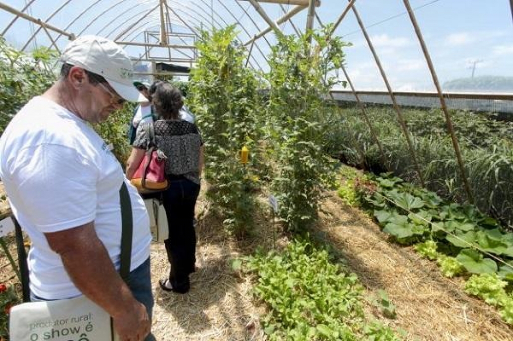 SHOW RURAL É AMBIENTE FÉRTIL À TROCA DE EXPERIÊNCIAS